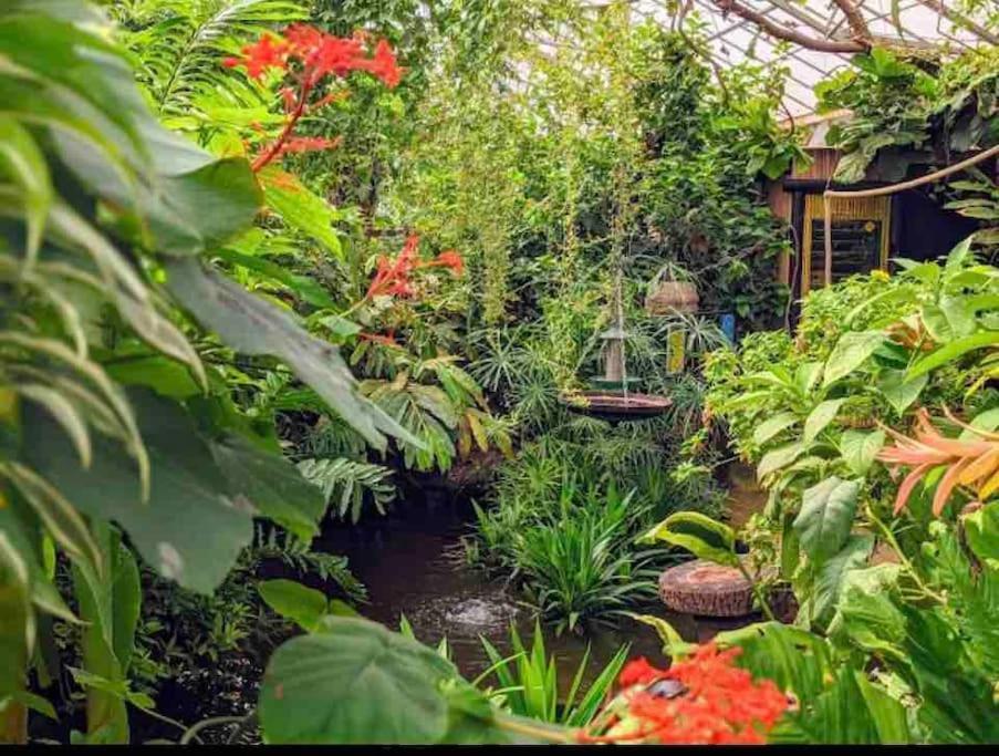 Hidden Gem !Stunning 3 Bedroom Home In Sheffield Handsworth Bagian luar foto